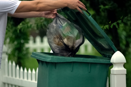 Garbage Can Cleaning